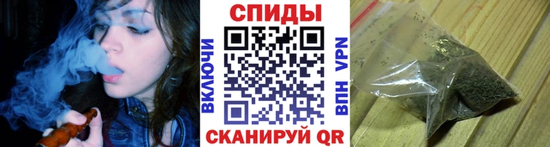 где найти   Дигора  БУТИРАТ BDO 33% 