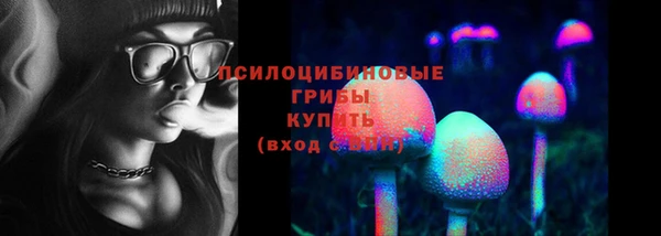 амф Горно-Алтайск