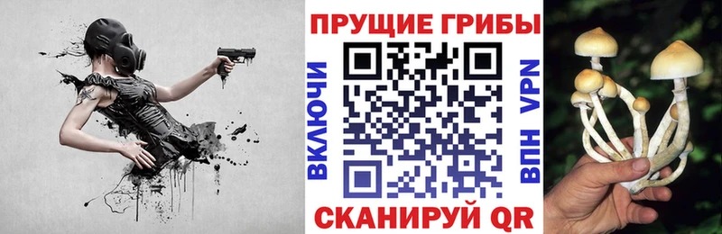 Псилоцибиновые грибы мухоморы  Дигора 